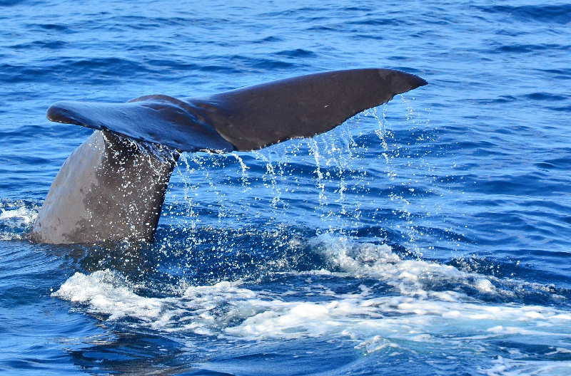 【媒體報導專區】